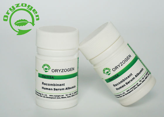 De recombinação Sativa do Oryza de M/P 65℃ TEM o peso molecular da pureza 66.5kD do pó 99%