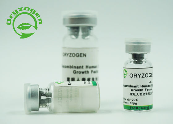 A pureza epidérmica de recombinação humana do fator de crescimento EFG da bioatividade alta 98% para a pele renova/reparo