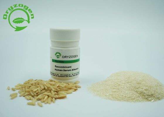 A pureza maior de 99% de recombinação TEM o rHSA liofilizado para pulverizar 4,8 PI