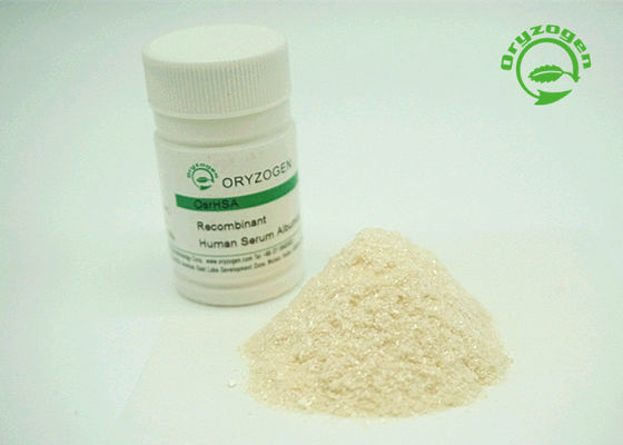 A albumina de soro de recombinação da pureza mais de 99% TEM fora branco para iluminar o pó bege da cor