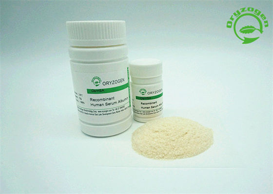 Peso molecular de recombinação da albumina 65KD do pó de OsrHSA da pureza alta