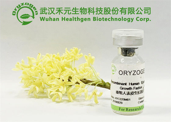Origem de planta nenhuns ingredientes cosméticos livres da fragrância irritante EGF