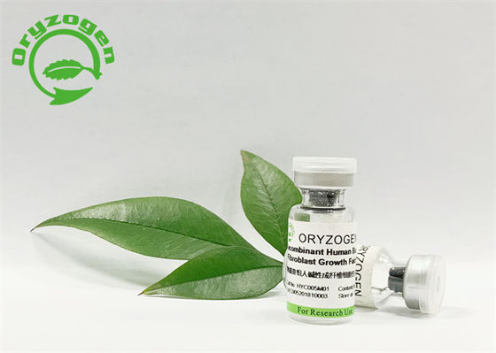 O fator de crescimento amigável do bFGF de Evironmental liofilizou a planta do pó derivada