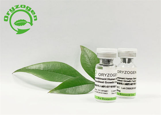 Fator de crescimento natural do fibroblasto para aumentar o metabolismo da pele