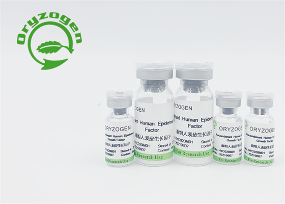 Fator de crescimento epidérmico humano de recombinação EGF da baixa endotoxina