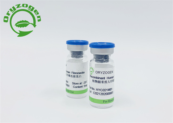 A grão do arroz derivou Fibronectin FN com baixa endotoxina