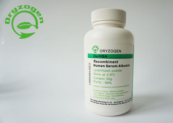 De recombinação Sativa do Oryza expressou da plataforma específica do endosperma do arroz