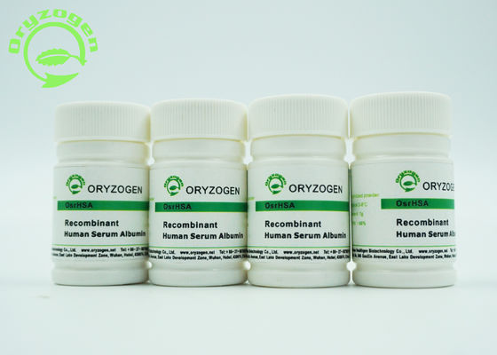De recombinação Sativa do Oryza liofilizou a proteína humana maciça molecular da albumina do pó 66.554KD