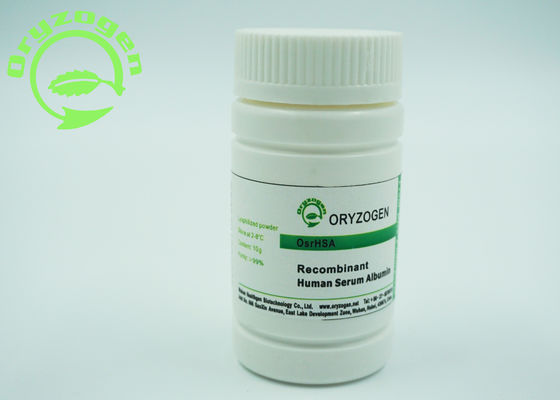 De recombinação Sativa do Oryza liofilizou a proteína humana maciça molecular da albumina do pó 66.554KD
