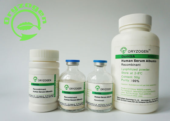 A albumina de soro de recombinação da baixa endotoxina TEM a cultura celular para a fabricação/formulação vacinais