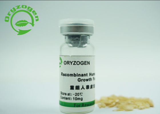 Corpo fraco branco epidérmico humano de recombinação de fator de crescimento da baixa endotoxina
