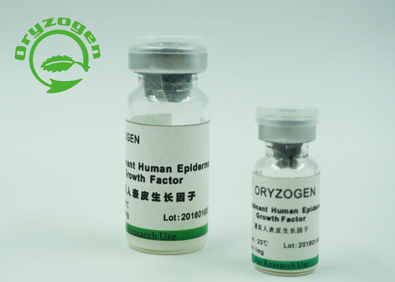 Proteína epidérmica humana do fator de crescimento da pureza alta que promove o crescimento da pilha epidérmica