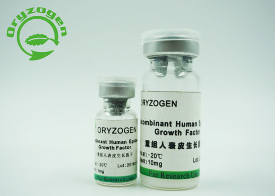 Componente animal epidérmico do PH 6.5-7.5 do fator de crescimento do rhEGF da origem do fermento não -