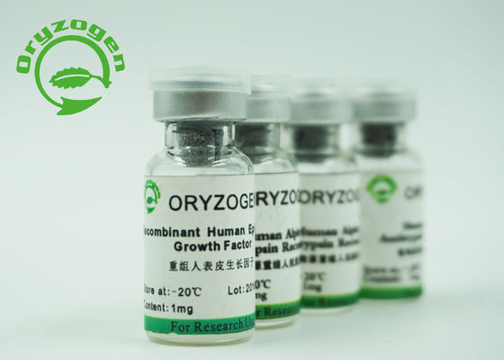 A pureza EGF de recombinação de 98% liofilizou o peso 6.3Kd molecular branco do pó