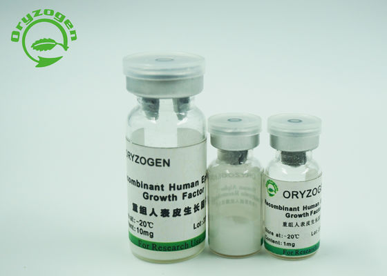 Fator de crescimento epidérmico liofilizado Egf da proteína para os cosméticos 1Ng/ML da pele de ED50