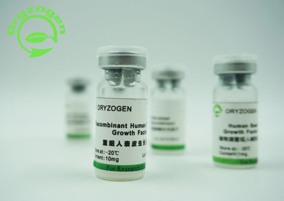A pureza epidérmica humana de recombinação SDS-PAGE do fator de crescimento 98% do fator de crescimento EGF da bioatividade alta determinou