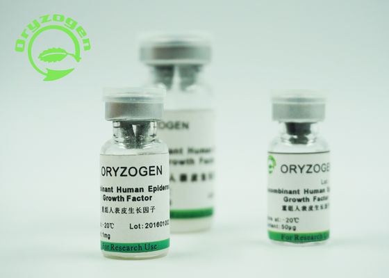 Bioatividade epidérmica humana de recombinação do × 10^6 Unitis do fator de crescimento 1/magnésio pelo ensaio da pilha de Balb/C 3T3