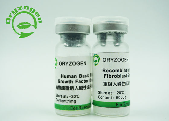 Xeno - componente animal molecular médio livre do peso 17KD de fator de crescimento do bFGF dos ingredientes livre