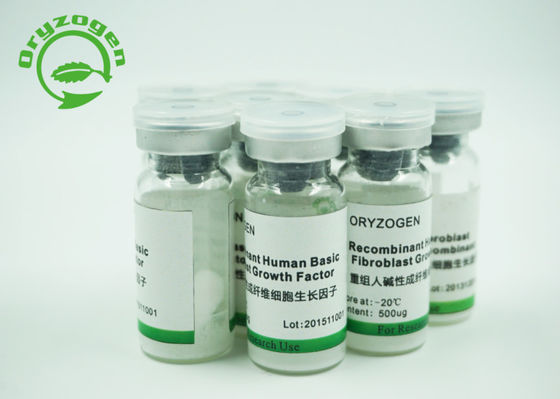 O bFGF humano da grão do arroz liofilizou o pó com endotoxina menos de 1 UE/ug