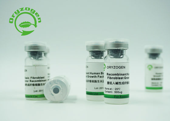 Oryza de recombinação -20℃ extraído Sativa Storaged do fator do bFGF da proteína
