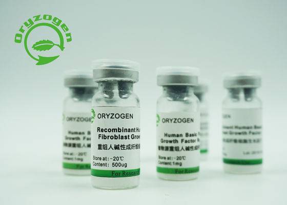 Fator de crescimento básico de recombinação BFGF do fibroblasto da bioatividade alta para cosméticos
