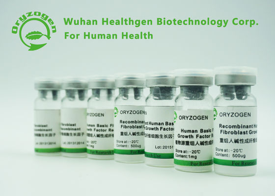 Fator de crescimento básico de recombinação BFGF do fibroblasto da bioatividade alta para cosméticos