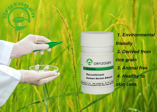 Origem de planta orgânica antienvelhecimento humana de recombinação bege clara da albumina de soro 66.5kD