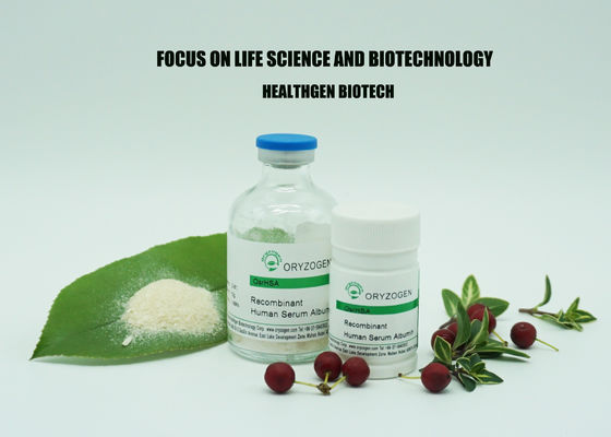 Os cuidados com a pele altos da albumina da proteína da bioatividade liofilizaram OsrHSA com salino