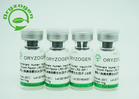 Fator de crescimento R3 longo da pureza IGF 1 de recombinação maior de 90% que promove o crescimento da pilha