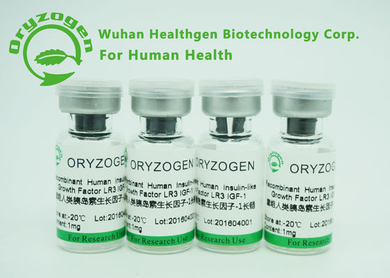 1Ng/origem de recombinação humana longa do fermento proteína R3 do Ml ED50 IGF 1