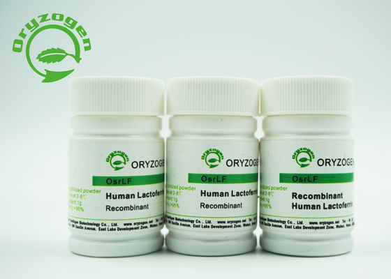 Lactoferrin humano de recombinação da proteína 80KD nenhum componente animal para cosméticos