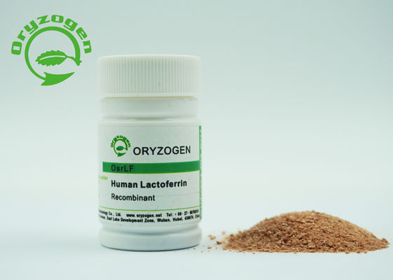 Lactoferrin humano de recombinação da proteína 80KD nenhum componente animal para cosméticos
