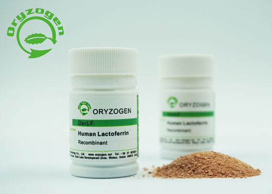 Liofilizado pulverize peso molecular da endotoxina 80Kd do Lactoferrin humano de recombinação o baixo