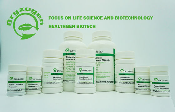A albumina humana de recombinação da origem da grão do arroz TEM o peso 66.5KD molecular para o jogo diagnóstico
