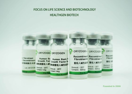 Do Oryza habilitado do fator de crescimento do rbFGF do ISO origem Sativa