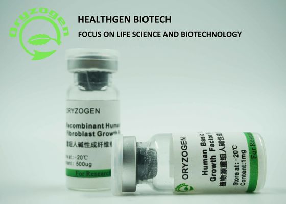 Peso molecular de recombinação de fator de crescimento 17KD do bFGF da origem da grão do arroz