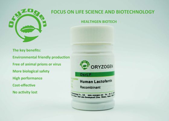 Reagentes biológicos da proteína de recombinação humana do Lactoferrin de OsrhLF para Biopharmaceuticals