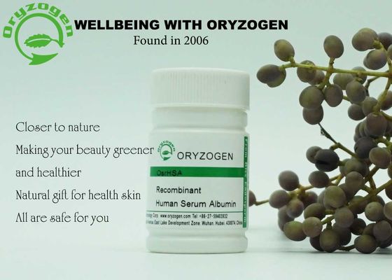 PH bege claro derivado planta 6.4-7.4 do rHSA da albumina da proteína de soro para cosméticos