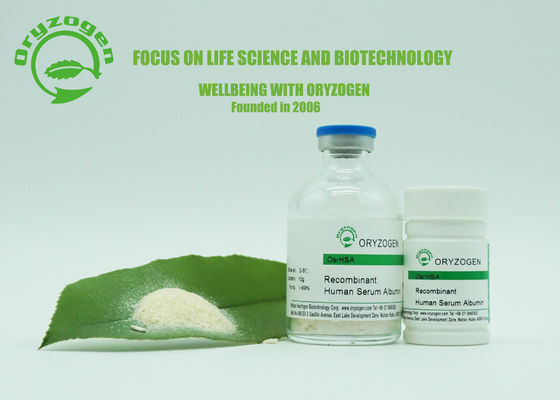 A proteína de recombinação humana dos cuidados com a pele da albumina de Oryzogen da pureza de 99% acelera o metabolismo