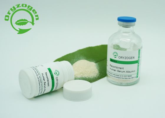 Oryzogen 65 KD de recombinação TEM o pó para CAS vacinal 70024 90 7