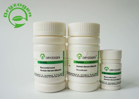 A albumina de soro de recombinação da baixa endotoxina TEM a cultura celular para a fabricação/formulação vacinais