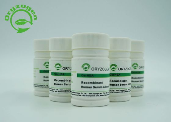 A albumina humana de recombinação de CAS 70024-90-7 TEM com menos do que a endotoxina 0.125EU/Mg