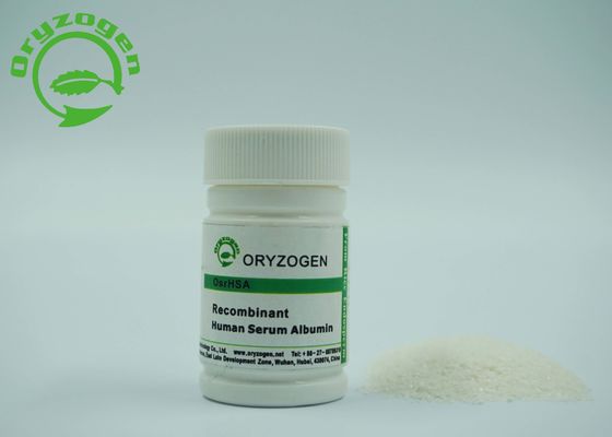 A grão do arroz de recombinação TEM o rHSA vacinal 70024-90-7 do ingrediente da cultura celular da pesquisa