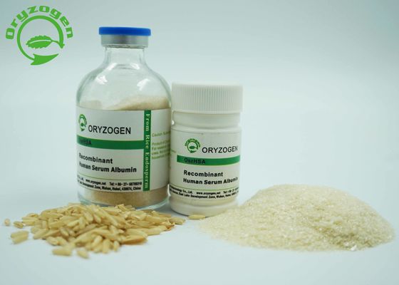 De recombinação habilitado do ISO TEM o pó liofilizado bege claro