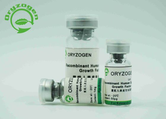 Brancos epidérmicos do fator de crescimento de EGF liofilizados pulverizam com endotoxina menos de 1,0 UE/magnésio