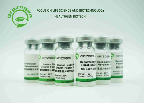 O reparo liofilizado branco do fator de crescimento do bFGF do pó danificou as células epiteliais 17KD FGF2 humano