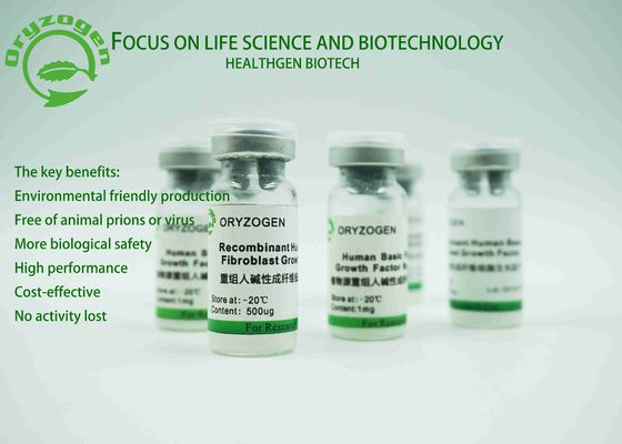Do Oryza habilitado do fator de crescimento do rbFGF do ISO origem Sativa
