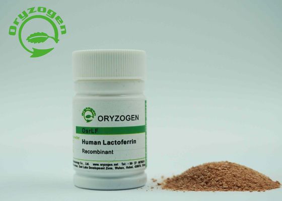 RhLF humano de recombinação derivado planta do Lactoferrin de Lacto Ferrin com endotoxina menos de 20 UE/magnésio