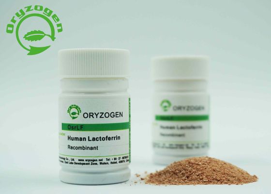 ℃ fraco avermelhado Storaged do pó 2-8 de Brown do Lactoferrin de recombinação livre componente animal