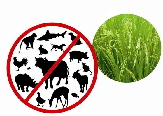 A proteína de recombinação refinou da planta com não - a endotoxina animal do ingrediente menos 0.125EU/ug